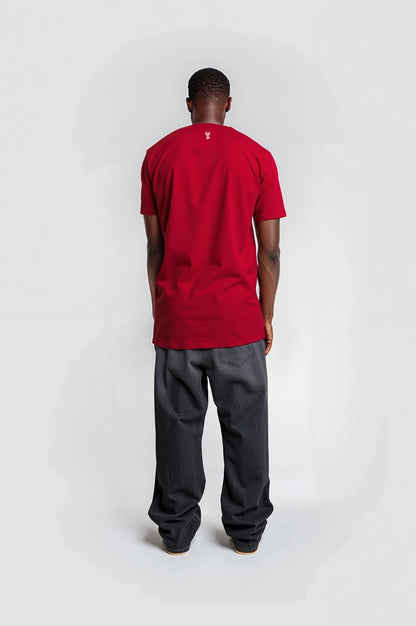 Camiseta Longline  DIII + 10 cores